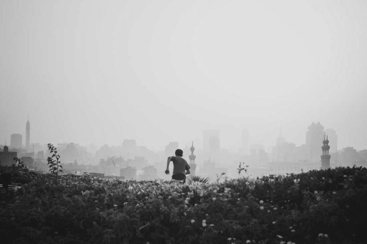 Person walking through a field towards a distant city skyline