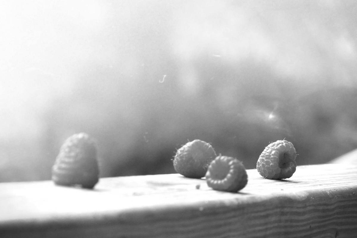 Berries arranged on a bright surface, shallow depth of field